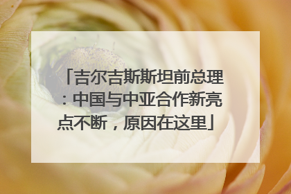 吉尔吉斯斯坦前总理：中国与中亚合作新亮点不断，原因在这里