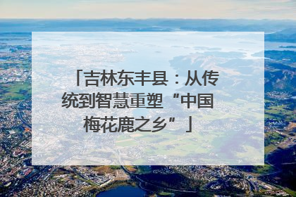 吉林东丰县：从传统到智慧重塑“中国梅花鹿之乡”