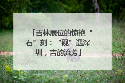 吉林展位的惊艳“石”刻：“砚”遇深圳，吉韵流芳