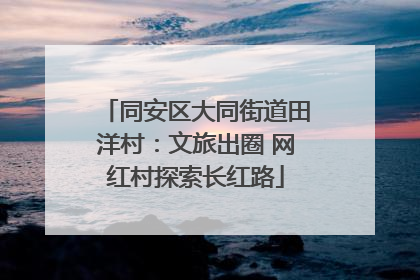 同安区大同街道田洋村：文旅出圈 网红村探索长红路