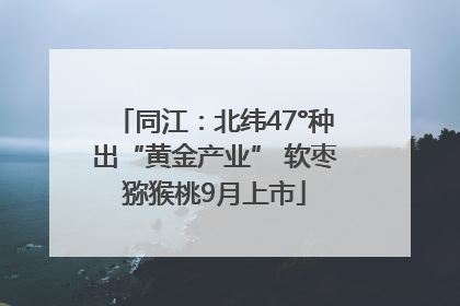 同江：北纬47°种出“黄金产业” 软枣猕猴桃9月上市