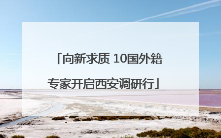 向新求质 10国外籍专家开启西安调研行