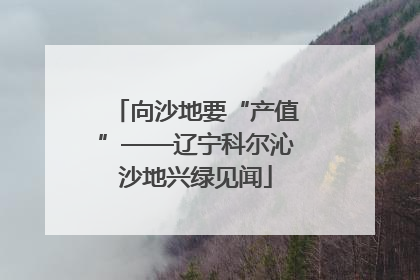 向沙地要“产值”——辽宁科尔沁沙地兴绿见闻