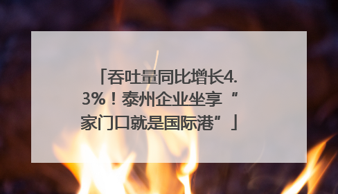 吞吐量同比增长4.3%！泰州企业坐享“家门口就是国际港”