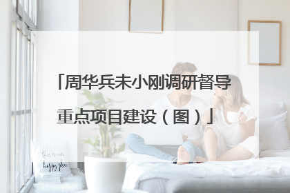 周华兵未小刚调研督导重点项目建设（图）