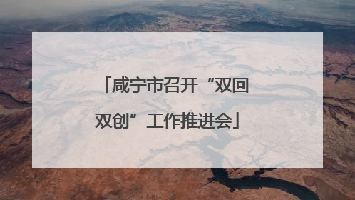 咸宁市召开“双回双创”工作推进会