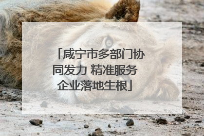 咸宁市多部门协同发力 精准服务企业落地生根