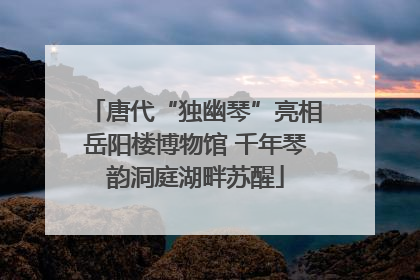 唐代“独幽琴”亮相岳阳楼博物馆 千年琴韵洞庭湖畔苏醒
