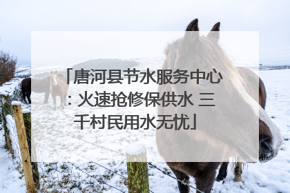 唐河县节水服务中心：火速抢修保供水 三千村民用水无忧
