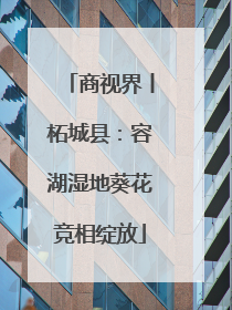 商视界丨柘城县：容湖湿地葵花竞相绽放