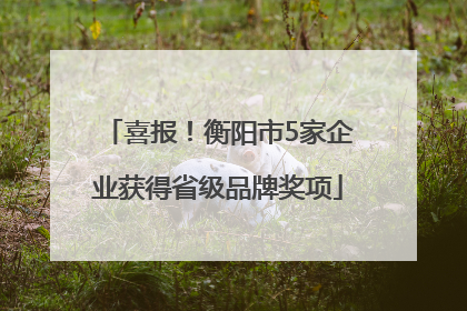 喜报！衡阳市5家企业获得省级品牌奖项