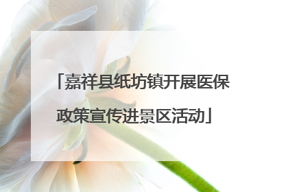 嘉祥县纸坊镇开展医保政策宣传进景区活动