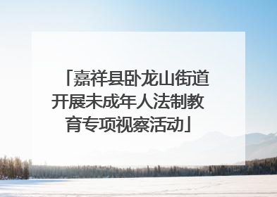 嘉祥县卧龙山街道开展未成年人法制教育专项视察活动