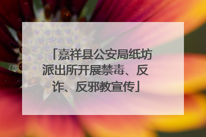 嘉祥县公安局纸坊派出所开展禁毒、反诈、反邪教宣传