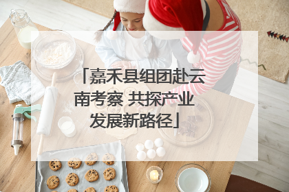嘉禾县组团赴云南考察 共探产业发展新路径