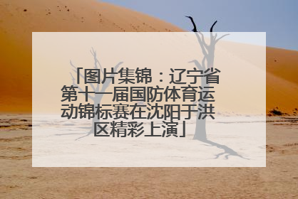图片集锦：辽宁省第十一届国防体育运动锦标赛在沈阳于洪区精彩上演