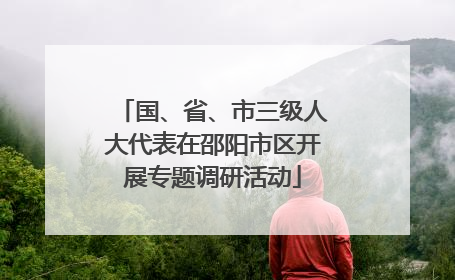 国、省、市三级人大代表在邵阳市区开展专题调研活动