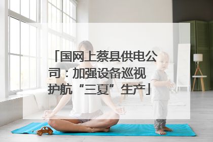 国网上蔡县供电公司：加强设备巡视 护航“三夏”生产
