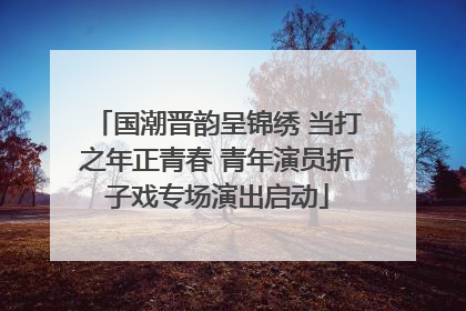 国潮晋韵呈锦绣 当打之年正青春 青年演员折子戏专场演出启动