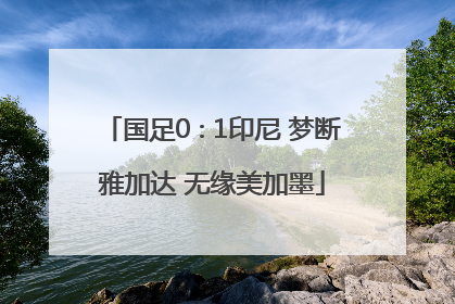 国足0∶1印尼 梦断雅加达 无缘美加墨