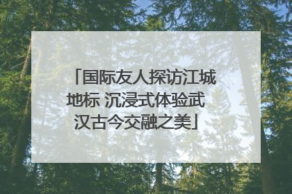 国际友人探访江城地标 沉浸式体验武汉古今交融之美