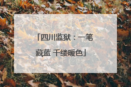 四川监狱：一笔藏蓝 千缕暖色