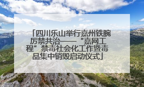 四川乐山举行嘉州铁腕 厉禁共治——“嘉网工程”禁毒社会化工作暨毒品集中销毁启动仪式