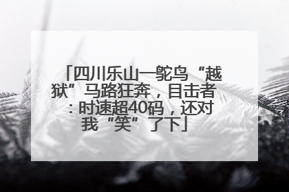 四川乐山一鸵鸟“越狱”马路狂奔，目击者：时速超40码，还对我“笑”了下