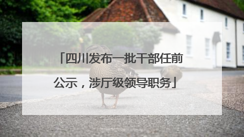 四川发布一批干部任前公示，涉厅级领导职务