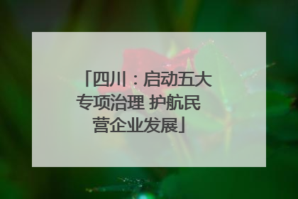 四川：启动五大专项治理 护航民营企业发展