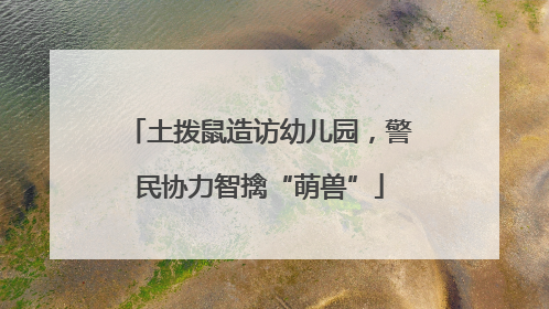 土拨鼠造访幼儿园，警民协力智擒“萌兽”