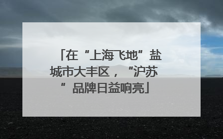 在“上海飞地”盐城市大丰区，“沪苏”品牌日益响亮
