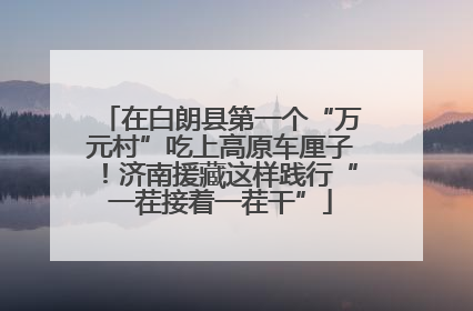 在白朗县第一个“万元村”吃上高原车厘子！济南援藏这样践行“一茬接着一茬干”