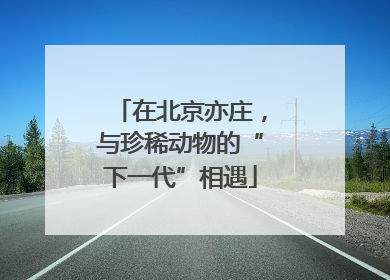 在北京亦庄，与珍稀动物的“下一代”相遇