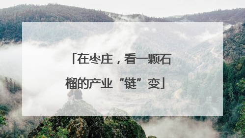 在枣庄，看一颗石榴的产业“链”变