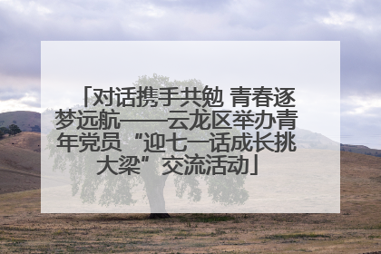 对话携手共勉 青春逐梦远航——云龙区举办青年党员“迎七一话成长挑大梁”交流活动