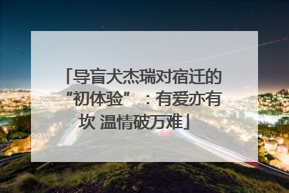 导盲犬杰瑞对宿迁的“初体验”：有爱亦有坎 温情破万难