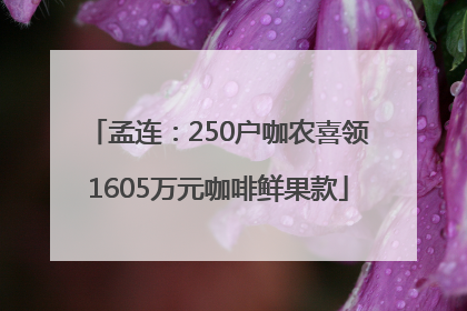 孟连：250户咖农喜领1605万元咖啡鲜果款