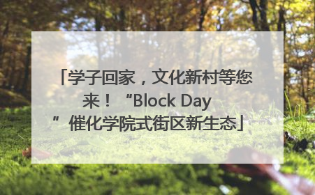 学子回家，文化新村等您来！“Block Day”催化学院式街区新生态