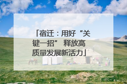 宿迁：用好“关键一招” 释放高质量发展新活力