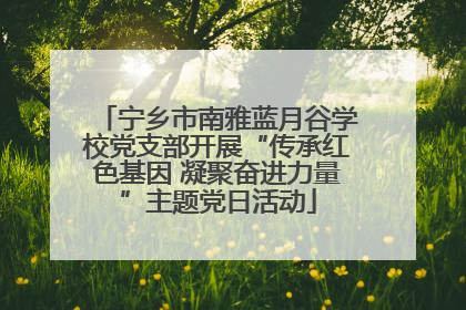宁乡市南雅蓝月谷学校党支部开展“传承红色基因 凝聚奋进力量”主题党日活动
