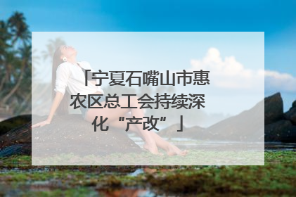 宁夏石嘴山市惠农区总工会持续深化“产改”