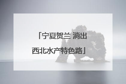 宁夏贺兰 淌出西北水产特色路