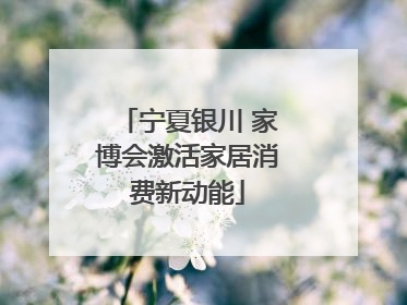 宁夏银川 家博会激活家居消费新动能