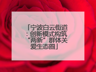 宁波白云街道：创新模式构筑“两新”群体关爱生态圈
