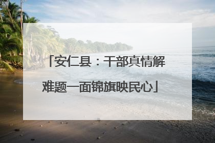 安仁县：干部真情解难题一面锦旗映民心