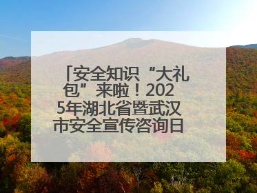 安全知识“大礼包”来啦！2025年湖北省暨武汉市安全宣传咨询日活动在汉举行