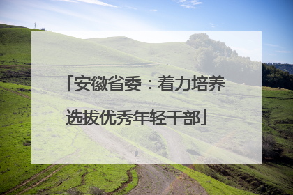 安徽省委：着力培养选拔优秀年轻干部