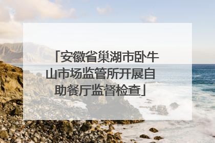 安徽省巢湖市卧牛山市场监管所开展自助餐厅监督检查