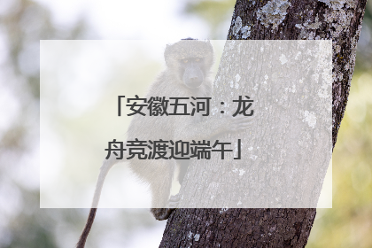 安徽五河：龙舟竞渡迎端午